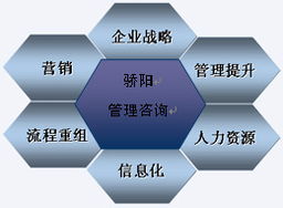 沈陽驕陽企業(yè)管理咨詢 專業(yè)認(rèn)證咨詢助力企業(yè)卓越發(fā)展